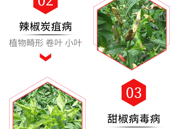 烯·羥·硫酸銅（80g）-倍爾農(nóng)化