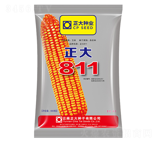 正大811-玉米種子-正大種業(yè)